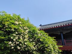 -孔府