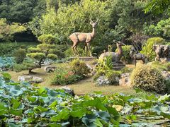 -杭州植物园