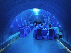-海棠湾洲际-涛·海底餐厅·美人鱼·自助餐·海底隧道