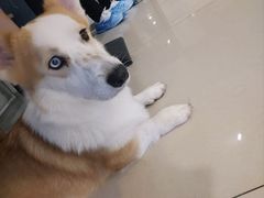 -平行世界·猫咖(首经贸店)