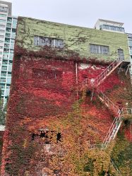 -Oasis Beauty水磨坊科技美肤中心