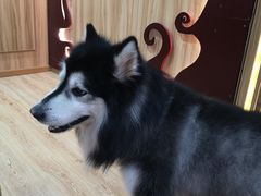 -白兔子密室(长寿路店)