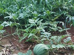 -陶祖圣境风景区