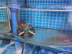 -晶渔坊·海鲜私房菜(东夷小镇店)