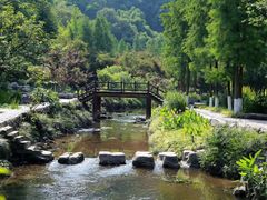 -重庆彩云湖湿地公园