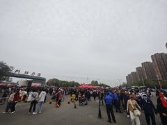 -曹州牡丹园