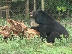 -海南热带野生动植物园