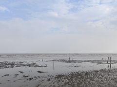 -平湖九龙山旅游度假区