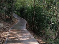 -上海佘山国家森林公园西佘山园