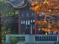-顺峰山公园