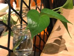 -北京大学深圳研究生院-燕园2食堂