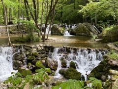 -牛背梁国家森林公园