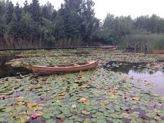 iphone_upload_pic-溱湖国家湿地公园