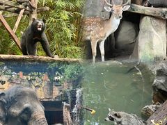 -长鹿旅游休博园