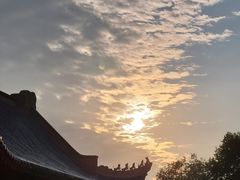 -武汉大学-樱园