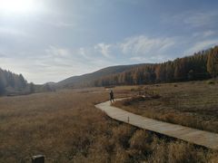 -塞罕坝国家级自然保护区