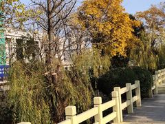 -峙山公园