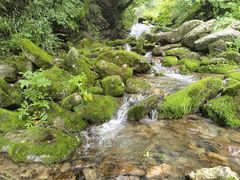 -秦岭风景区