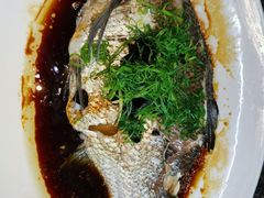 清蒸野生三角边-顺德了能馆(虎门店)