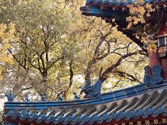 -灵谷景区
