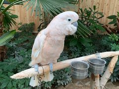 -南宫五洲植物乐园