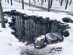 -陕西师范大学(雁塔校区)