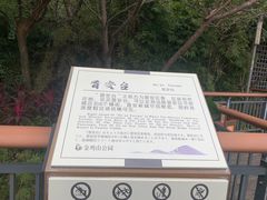 -金鸡山公园