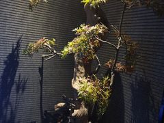 -新盈光·心院(嘉恒广场店)