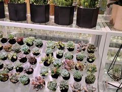 -KKV(深圳宏发大仟里店)