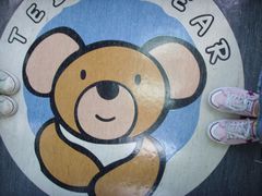 -济州岛泰迪熊博物馆