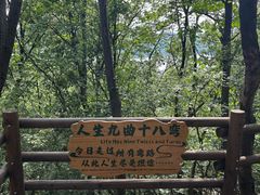 -天目湖山水园