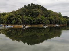 -千岛湖龙川湾