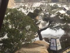 -溧阳天目湖天沐温泉