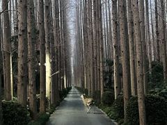 -上海怡沁园度假酒店