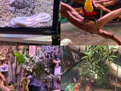 -正佳极地海洋世界