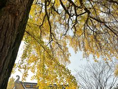 -苏州上方山国家森林公园