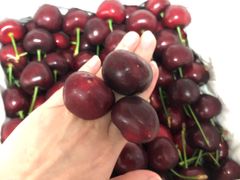 -德龙平价生活超市