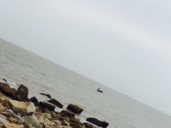 -野狸岛