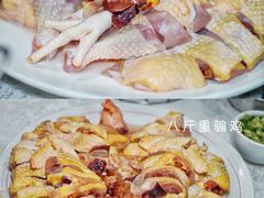 -广宁炭炉鸡煲·富临门饭店