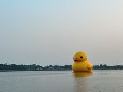 -深圳人才公园