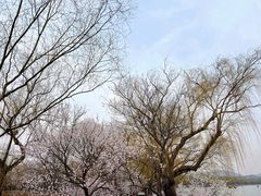 -颐和园