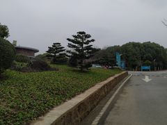-上海市保健医疗中心(华东疗养院)
