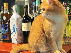 -咖法森林·咖啡  酒吧(天河店)