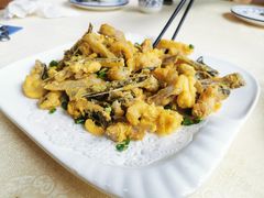 鸭嘴鱼嘴椒盐-鲤鱼塘农家山庄