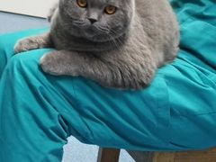 -中农大我爱我爱24h动物医院·中医针灸·猫专科·骨科医疗中心(双井店)