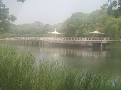 -新江湾城公园