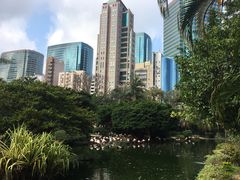 -九龙公园