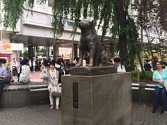 -涩谷全向十字路口