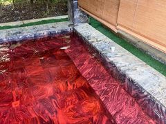 -英德宝晶宫天鹅湖茶语温泉