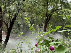 -北京西山国家森林公园